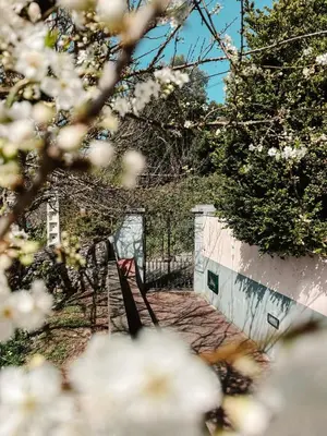 a pink building with a black door and a flowering tree at Madeira Island Rustic Mountain Home in Estreito de Câmara de Lobos