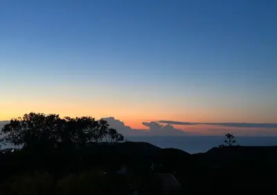 a sunset over the ocean with a tree in the foreground at Ocaso - Aljezur sea view stunning sunsets Arrifana in Aljezur