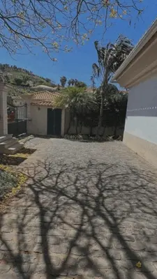 a shadow of a tree in front of a house at House Pilar close to Funchal in Funchal