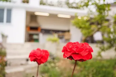 two red flowers in front of a house at GuestReady - Funchal Hideaway with BBQ in Funchal