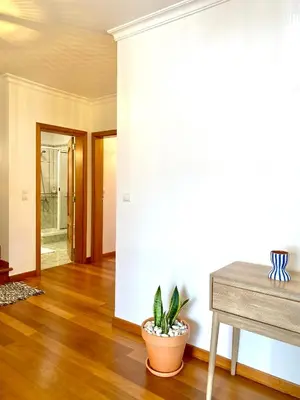 a living room with a table and a potted plant at 