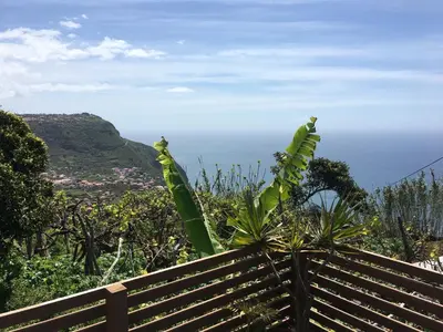 a view of the ocean from the top of a mountain at BHF Residences Bordadeira in Arco da Calheta