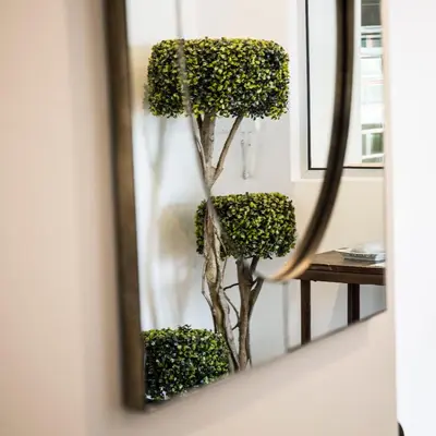 a mirror reflection of a tree in a living room at Apartment Serrão in Funchal