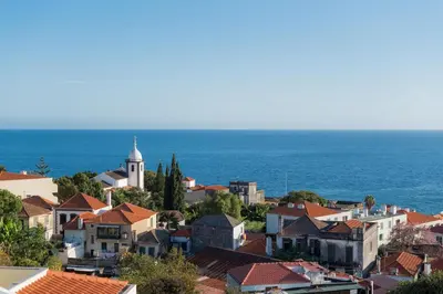 a view of a town with the ocean in the background at Apt. Downtown 2 in Funchal