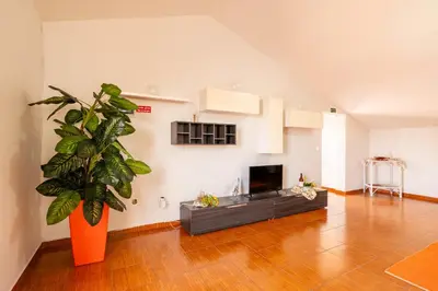 a living room with a fireplace and a plant at Apartamento Celia in Arco da Calheta
