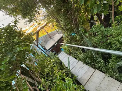 a garden with a bench sitting under a pergola at Granny House Madeira in Funchal