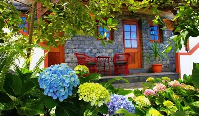 a garden with a house with red chairs and flowers at Villa Ricardo in Porto da Cruz