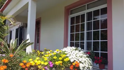 a bunch of flowers in front of a house at Casa Shalom in Faial
