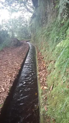 a drainage ditch in the side of a hill at Casa Shalom in Faial