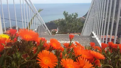 a bunch of orange flowers in front of a bridge at Casa Shalom in Faial