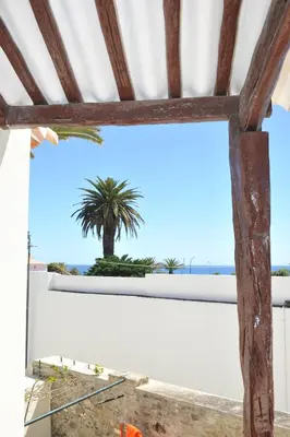a view of a palm tree from the window of a building at 16 Porto Santo Apartments in Porto Santo