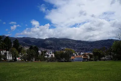 a green field with a city and mountains in the background at Casa Violeta in Funchal