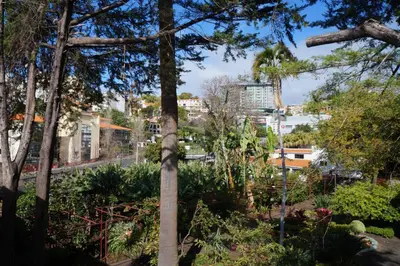 a view of a park with trees and plants at Casa Violeta in Funchal