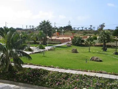 a park with green grass and flowers and palm trees at INATEL Porto Santo in Porto Santo