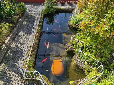 a garden with a pond with kites in it at A Casa Do Caseiro in Funchal