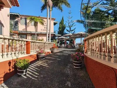 a walkway with potted plants on the side of a building at A Casa Do Caseiro in Funchal