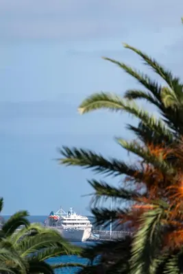 a cruise ship in a harbor with palm trees at Casa da Maresia by An Island Apart in Porto Santo