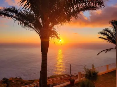 a sunset over the ocean with a palm tree at The best sea view in Madeira - Casa Farol in Fajã da Ovelha