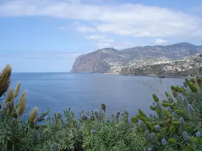 a view of a body of water with a mountain at Casa do Cavacas in Funchal