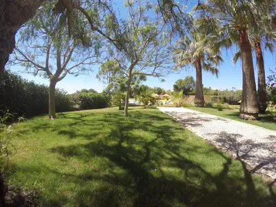 a driveway with palm trees in a park at Luzmar Villas in Luz