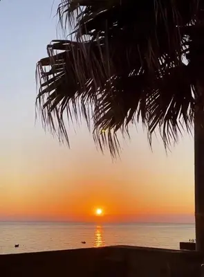 a sunset over the ocean with a palm tree at Casa da Guida in Paul do Mar
