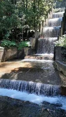 a waterfall in a park with trees in the background at Casa da Guida in Paul do Mar