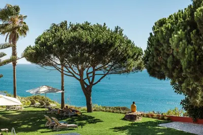 a park with a tree and chairs and the ocean at Boutique Hotel Vivenda Miranda in Lagos