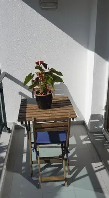 a wooden table with a potted plant on a chair at Jardim das Madalenas in Funchal