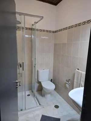 a bathroom with a toilet and a shower and a sink at AL Moniz in Machico