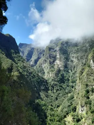 a view of a mountain with trees and clouds at Casa Daniela in Calheta