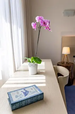 a flower in a vase sitting on a table at Aldeia Azul Resort in Lagos