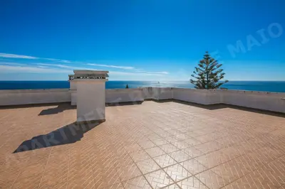 a patio with a tree and the ocean in the background at Maio Apartment in Luz