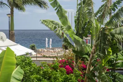a view of the ocean from a resort with plants at Casa do Lugar de Baixo in Ponta do Sol