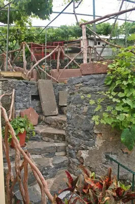 a stone staircase in a garden with plants at Villa Catanho in Funchal