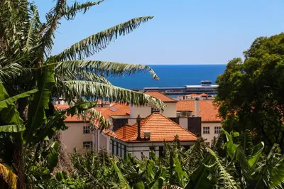 a view of buildings with the ocean in the background at FX Pena in Funchal