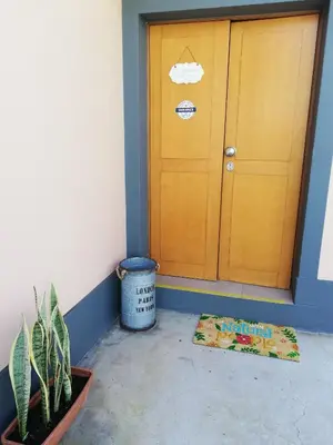 a door in a room with a potted plant and a rug at FX Pena in Funchal