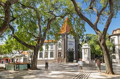 a building with trees in front of it at Elias Garcia II by An Island Apart in Funchal