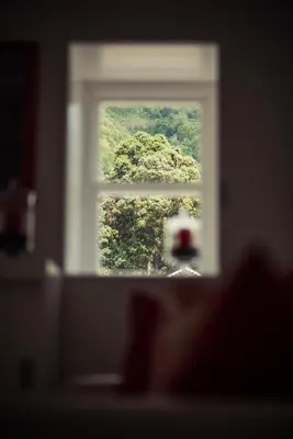 an open window with a view of a forest at Vigia da Areia in São Lourenço