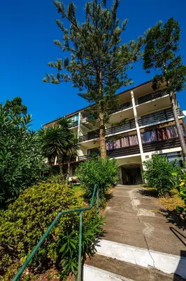 a building with a tree in front of it at Apartamento Vista Oceano in Caniço