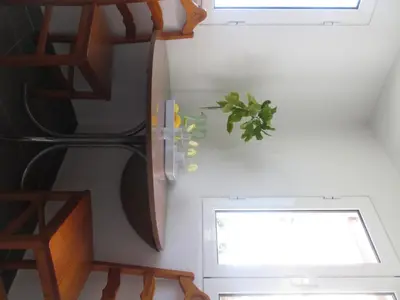 a room with stairs and a plant on the wall at Casa Formiga in Fajã da Ovelha