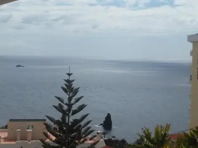 a pine tree in front of the ocean at Colinas do Lido III by Rentallido in Funchal