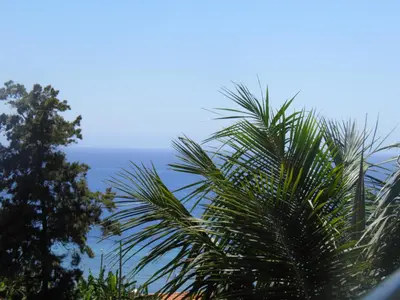 a palm tree with the ocean in the background at Villa Formosa in Funchal
