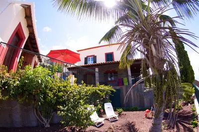 a building with a palm tree in front of it at Casa da Rainha in Calheta