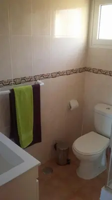 a bathroom with a toilet and a green towel at Maison Zita in Venda do Atalhinho