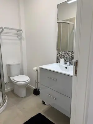 a bathroom with a toilet and a sink and a mirror at Canavial Terrace@Heart of Funchal in Funchal