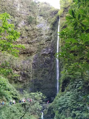 a waterfall on the side of a mountain at Casa Horizonte in Arco da Calheta