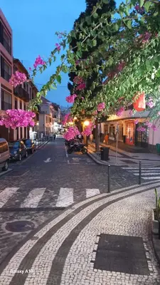 a cobblestone street with trees and pink flowers at Alojamento Local Trigal in Funchal