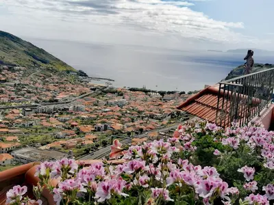 a view of a city with pink flowers at Moradia Cor de Rosa in Machico