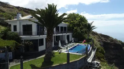 a house with a palm tree and a swimming pool at Ocean Cliff in Ponta do Sol