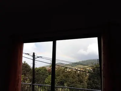 a window in a room with a view of trees at Casa Mao-Cheia in Arco da Calheta